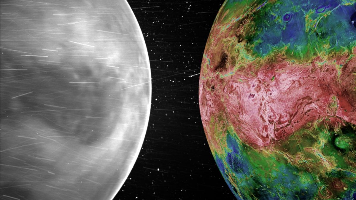 太陽探測器立功揭面紗　金星首張可見光圖像曝光