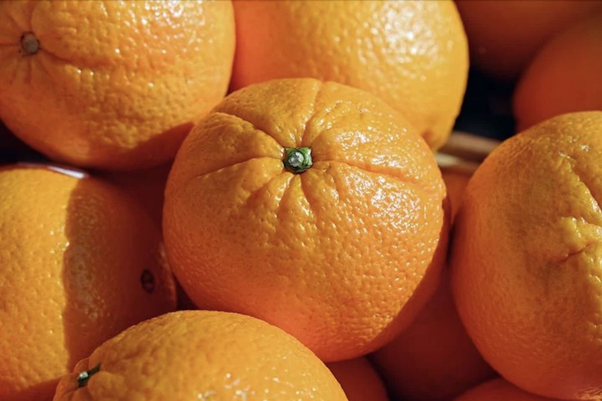 ▲近期正是橘子的盛產季節，又酸又甜的果實讓人忍不住垂涎欲滴。（示意圖／翻攝自Pixabay）