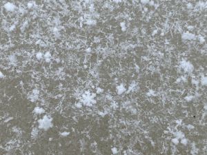 玉山降雪 ▲今天下午玉山再次降雪,薄薄的雪花覆蓋在氣象站外,就像蛋糕上灑了一層糖霜。(圖/氣象局玉山觀測站提供)