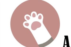 日本超萌心理測驗！用「貓爪」揭人際弱點　交友更順暢
