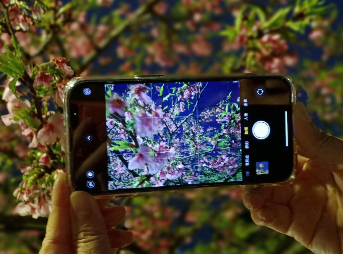 ▲手機攝影達人王小路表示，手機攝影開啟格線是最能幫新手抓準好構圖水平，帶來穩定的構圖。（圖／王小路提供）