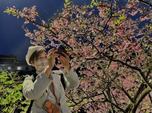 手機攝影達人王小路教夜櫻拍攝技巧。(圖/記者周淑萍攝) ▲手機攝影達人王小路教夜櫻拍攝技巧。(圖/記者周淑萍攝)