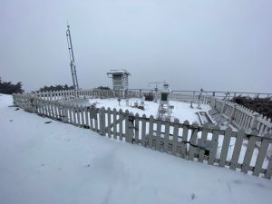 負北極振盪寒流南下機率大增！高山下雪時間、熱區曝光