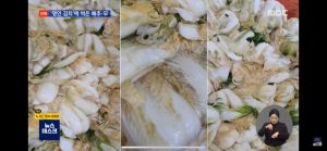▲南韓媒體MBC揭露漢盛泡菜，用爛掉的白菜、發霉的白蘿蔔醃製，漢盛泡菜否認，表示都有切除。（圖／翻攝畫面）