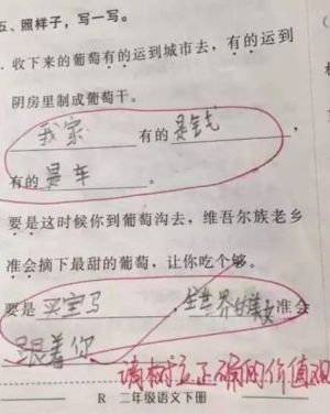 ▲中國有位就讀二年級的中國小學生日前的考卷引起關注。（圖／翻攝自微博）