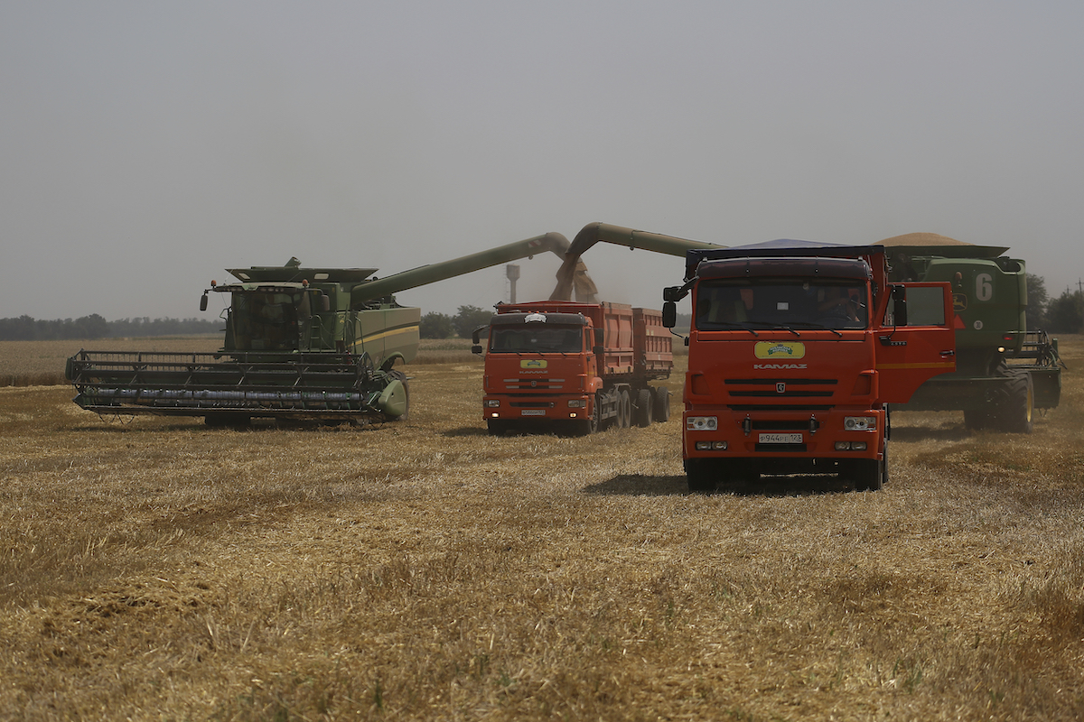 ▲聯合國糧農組織（FAO）今天表示，俄烏戰爭引發穀物類主食品與植物油市場震盪，世界糧食價格於3月創下歷史新高。（圖／美聯社／達志影像）