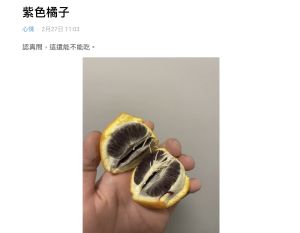 ▲一名網友在網路上表示，他家中有一顆橘子，剝開後果肉竟呈現「紫黑色」。（圖／翻攝自Dcard）