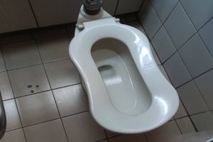 餐廳廁所赫見「特殊馬桶」！她愣該怎麼上？正確用法曝光
