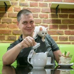 ▲負責人Serhii Oliinyk在6年前開設這間「Cat Cafe Lviv」時，店內的貓咪都還是小貓。（圖／IG帳號catcafelviv）