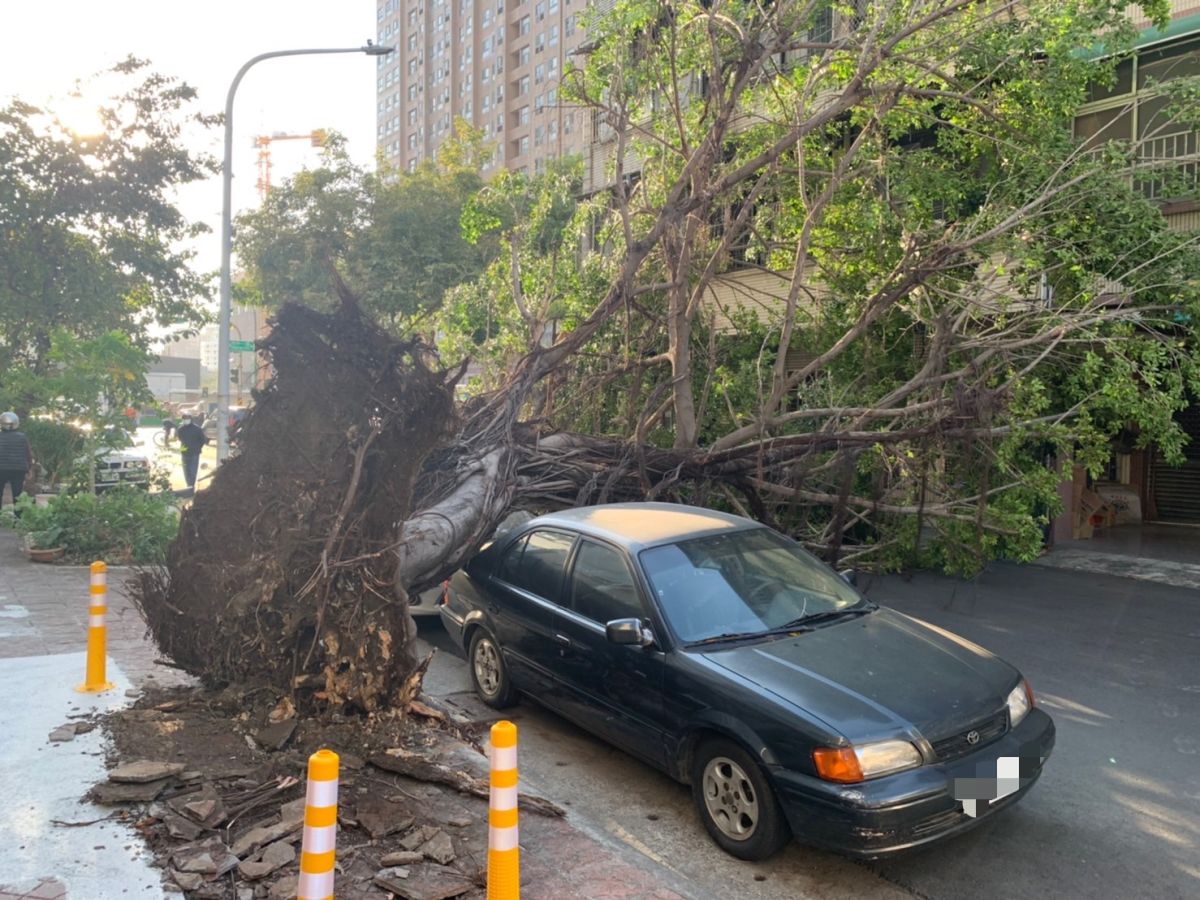 ▲高雄市區光復二街路樹倒塌。（圖／翻攝畫面）