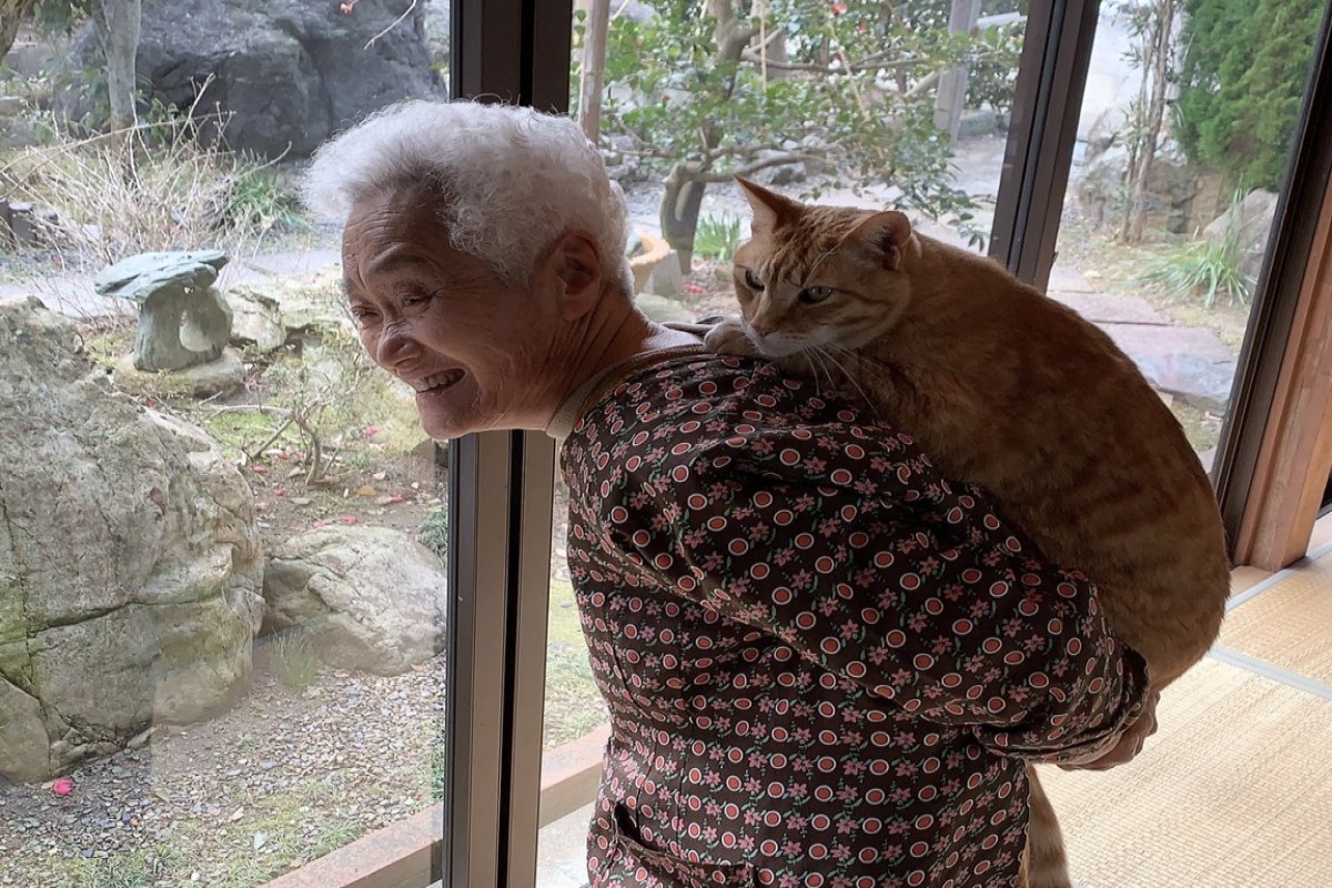 ▲日本一隻橘貓喜歡給推主的奶奶揹。（圖／Twitter帳號harley_kozou）