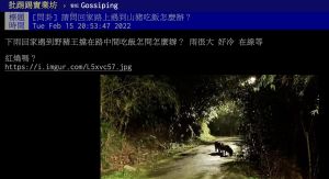 ▲一名網友在網路上表示，他在回家的路上竟然遇到3隻野豬擋在路中央，讓他十分無助。（圖／翻攝自PTT）