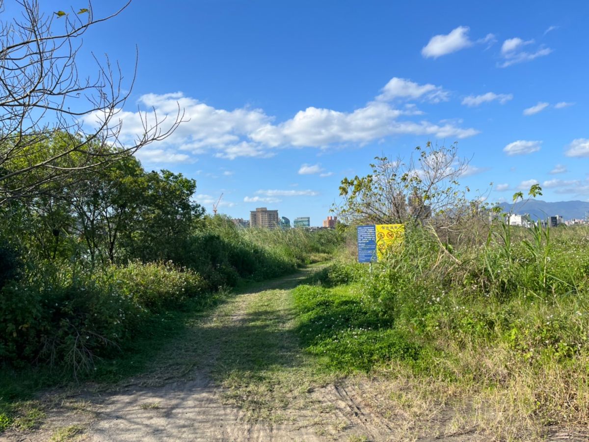 ▲新北市板橋區華江橋橫移門往濕地方向，，今（9）日上午驚傳發現一具男性浮屍，身份與死因仍待警方釐清。（圖／翻攝畫面）