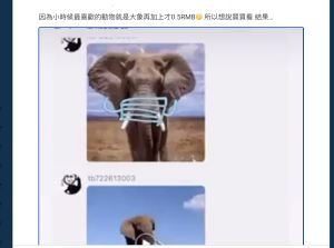 ▲一名網友在網路上指出，他近日看到淘寶網居然有賣「大象」（圖／翻攝自Dcard）