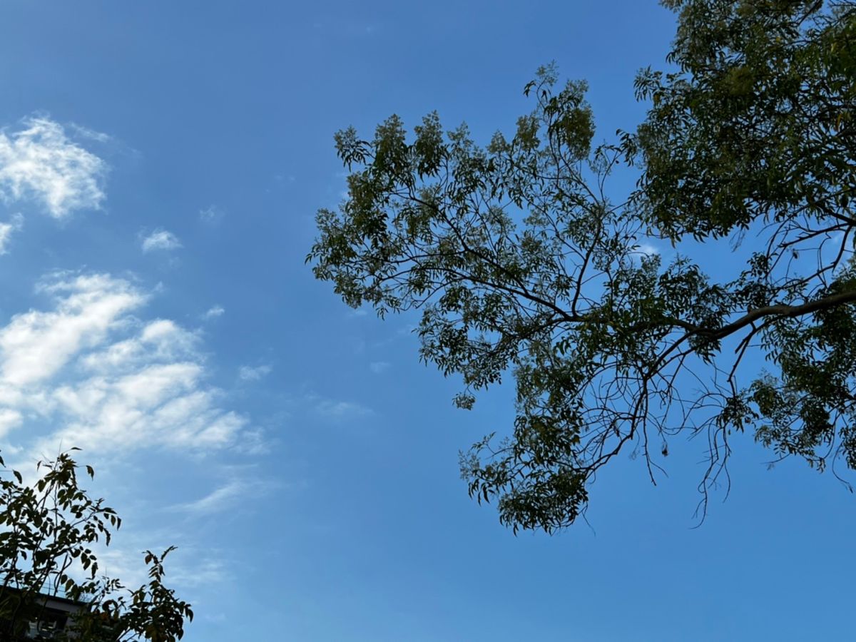 ▲今、明(11日)兩天桃園以南依舊晴朗，大台北多雲時晴，僅北海岸、東北部偶有局部、少量降雨的機率。（圖／張勵德攝）