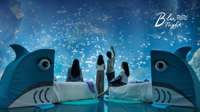 ▲COZZI Blu和逸飯店桃園館與Xpark跨界合作，推出Blu Night 宿海奇遇星級海洋系夜宿。（圖／KKday提供）