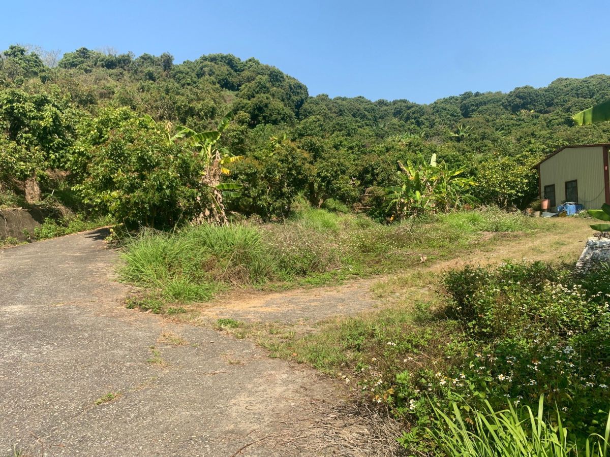 ▲水保法嚴格限制，動輒開罰，已經造成農友困擾(圖／李天生提供2022.3.14)