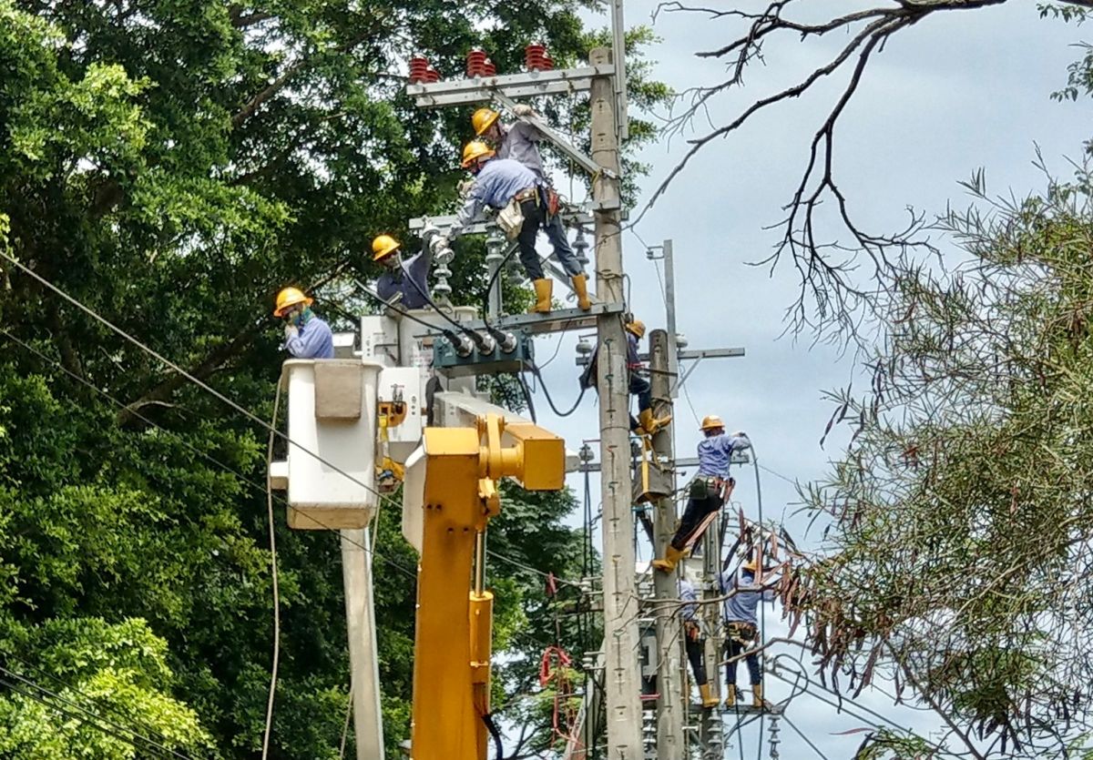 ▲針對今（21）日北部及高雄部分地區發生停電，台電表示近年來停電事故發生件數已呈現降低趨勢，也加裝驅鳥器、防鼠網、樹木修剪及孔洞封填等措施，盡力降低鳥獸外物碰觸配電設備，鳥獸碰觸致停電事故件數也降至去年的1780件，今（2022）年2月底止共發生100件，平均而言並無特別增加，反而進一步降低。（圖／翻攝台電官網）
