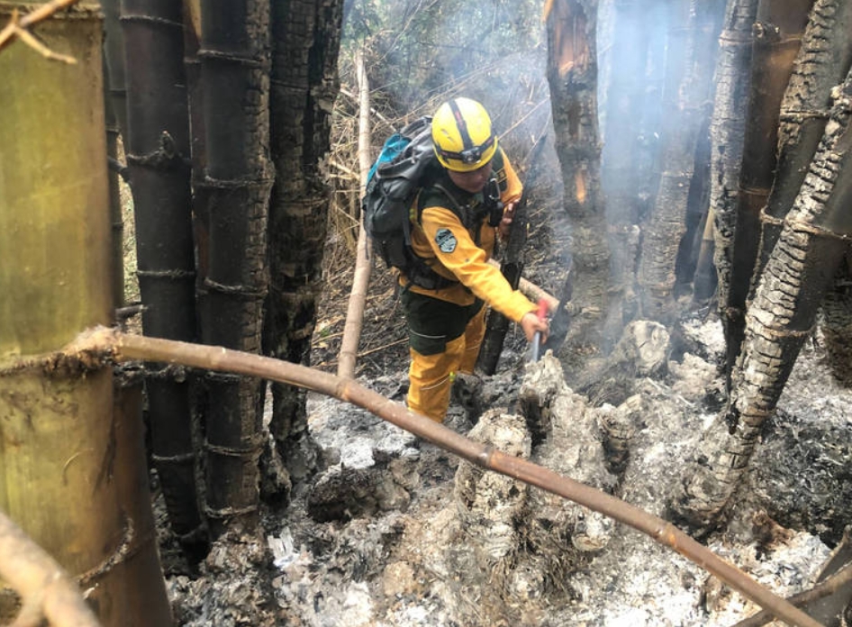 ▲高雄六龜火燒山！燒毁0.8公頃林地。（圖／翻攝畫面）