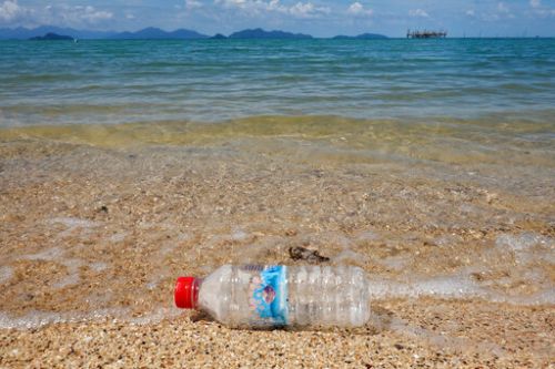 推動管控塑膠污染條約　各國面臨艱難新一輪談判

