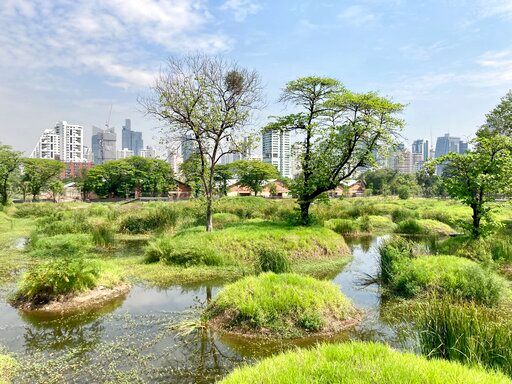影／曼谷最新打卡景點  班嘉琦緹公園擴建完工
