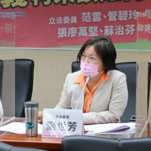 劉世芳 ▲民進黨立委劉世芳說,(圖/范雲辦公室提供)