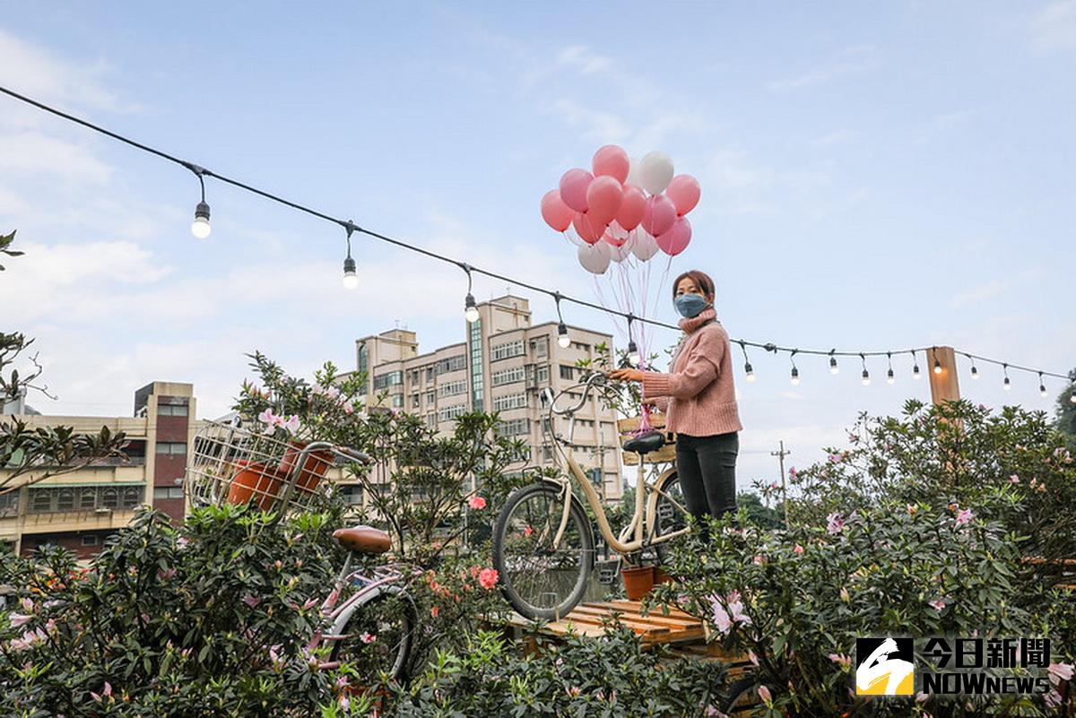 ▲農業局3月萬金杜鵑花聚落，將帶給大家更多不同以往的感動體驗。（圖／記者陳志仁攝）