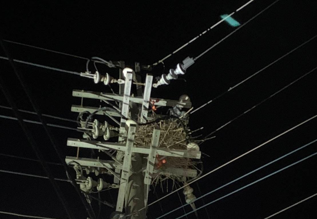 ▲有位自稱是台電維修人員的網友在臉書「爆廢公社」發文，強調鳥獸碰觸造成停電真的一直在發生，更稱自己願意「發誓」掛保證。（圖／翻攝自爆廢公社臉書）