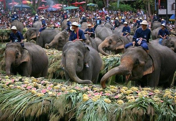 歡慶大象日！泰國各地舉辦果蔬自助餐
