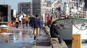 ▲台灣漁業實力雄厚，外籍漁工卻長期遭受制度性的剝削困境，使台灣遭受來自國際的撻伐。（示意圖／記者陳明安攝於2021.12.16）