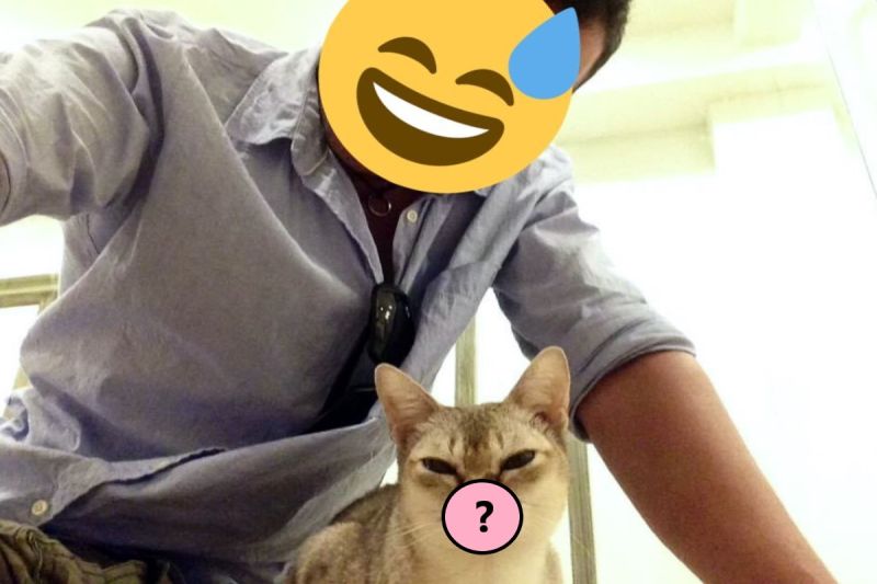 ▲住在泰國的一名日籍男子日前分享一張與貓咪合照的自拍照片，貓咪的表情意外引起討論。（圖／推特帳號phukachan100）