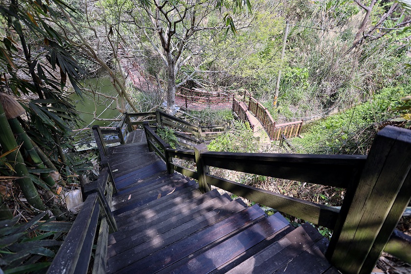 ▲新田5號登山步道(圖／觀旅局提2022.3. 19)