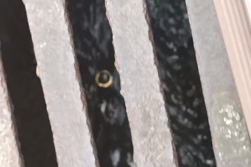 ▲原PO的金戒不慎掉入水溝，但最後卻因趕時間沒有撿起。（圖／取自《爆廢公社》）