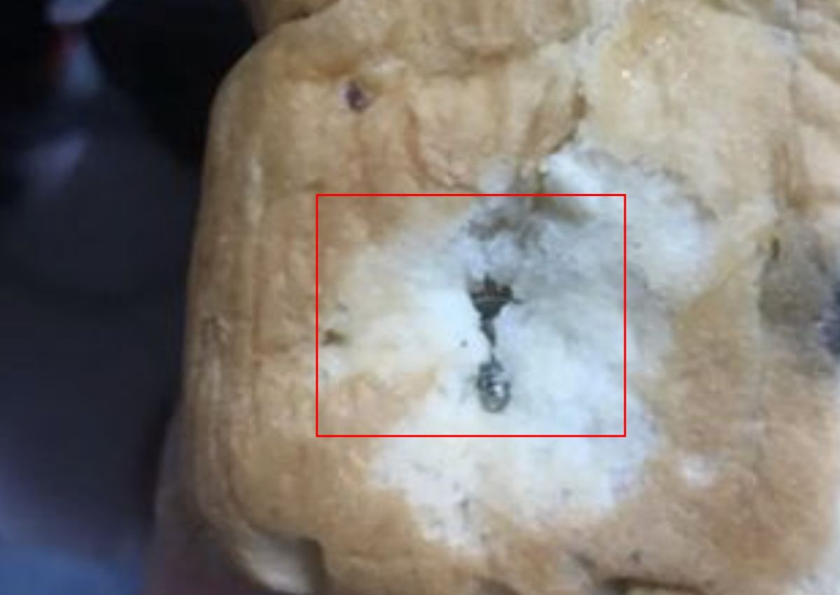 ▲網友分享自己購買好市多葡萄麵包，結果裡頭竟然暗藏螺絲釘。（圖/爆料公社）