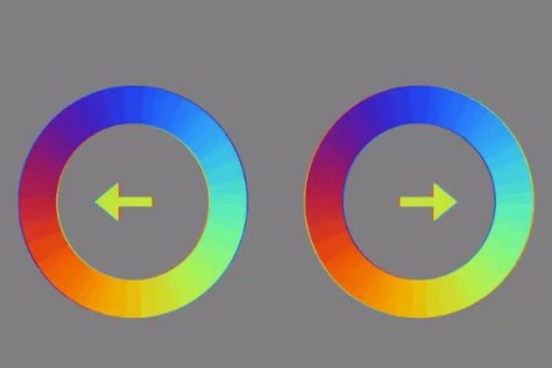 ▲日本一名網友利用兩個相同的圈圈，在顏色上做變化營造圈圈移動的錯覺。（圖／推特帳號jagarikin）