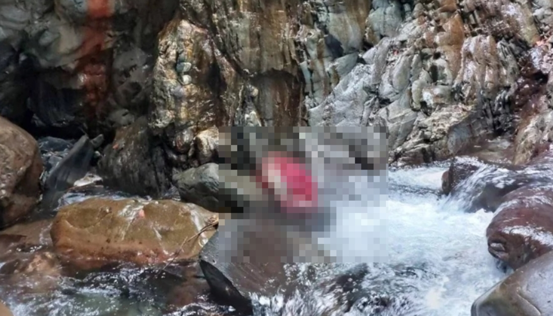 ▲女山友攀對關山失聯！疑失足墜谷亡。（圖／翻攝畫面）