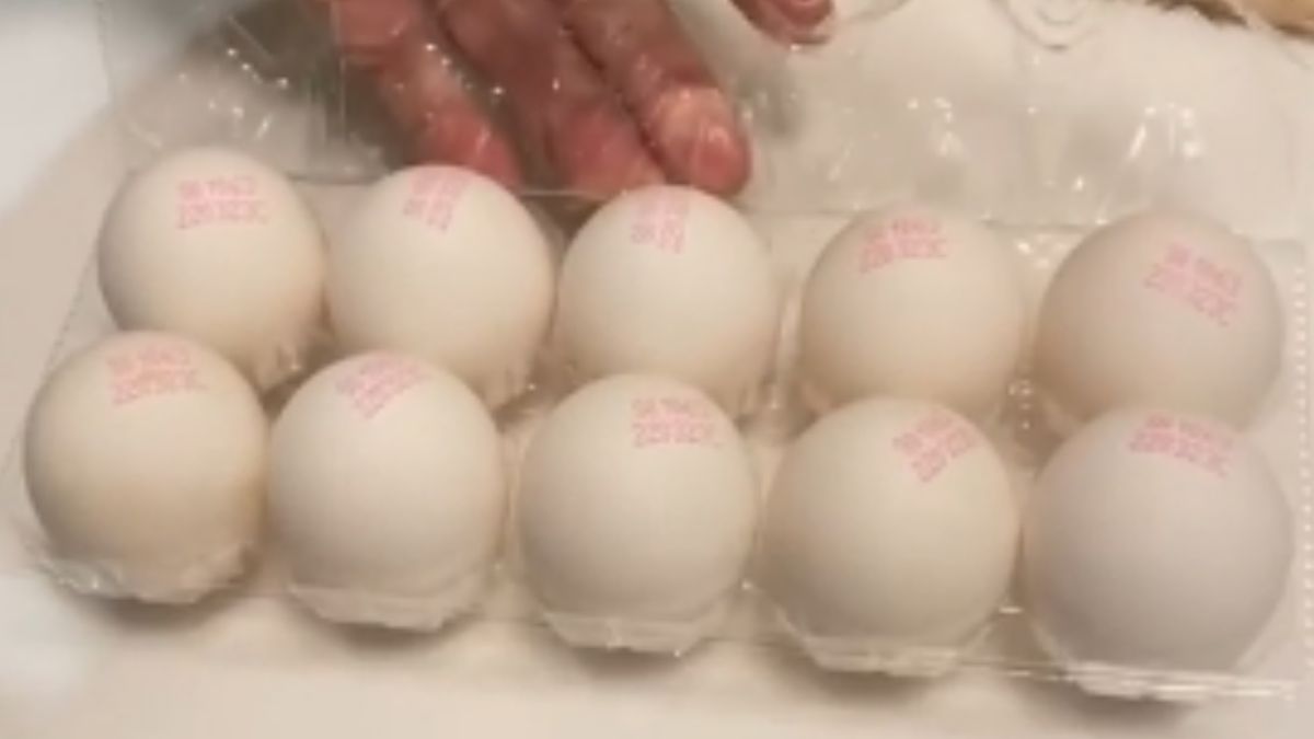 ▲有網友親身示範，他是怎麼打開雞蛋盒的，結果震驚所有人。（圖／翻攝爆廢公社）