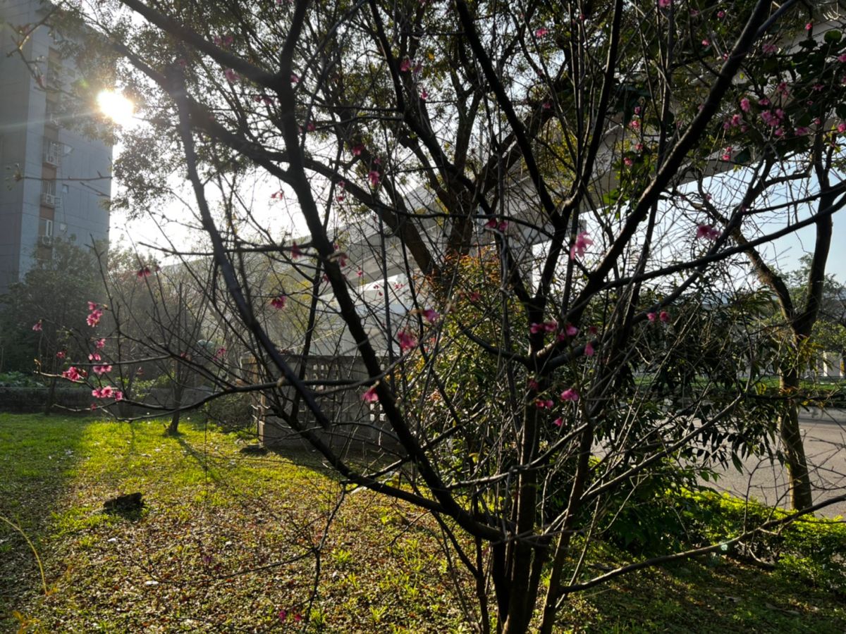 ▲明起冷氣團減弱回暖放晴，預計週三開工日晚間又有另一波東北季風南下，未來一週天氣3變化，提醒民眾留意保暖。（圖／NOWnews資料照片，記者張勵德攝）