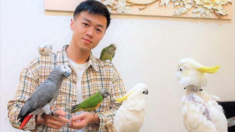▲游書庭拜訪台灣鳥類救援協會，見到自啄羽毛（右）、鳥嘴遭削除（左手腕）被救援鸚鵡。（圖／艾迪昇傳播提供）