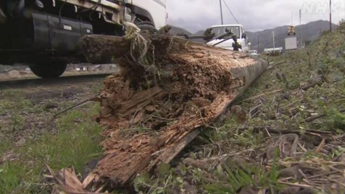 ▲日本九州地方鹿兒島縣屋久島町南部附近出現強降雨，氣象廳已發布「破紀錄短時間大雨情報」。（圖／翻攝自NHK）