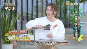 許藍方 ▲許藍方在《小姐不熙娣》上曬出露營愛用小斧頭,被說跟王少偉同一把。(圖 / 翻攝《小姐不熙娣》YouTube)