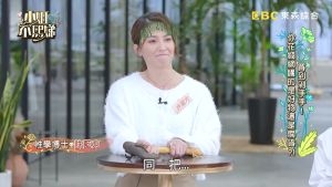 許藍方 ▲許藍方在《小姐不熙娣》上介紹愛用品,跟王少偉的非常相似。(圖 / 翻攝《小姐不熙娣》YouTube)