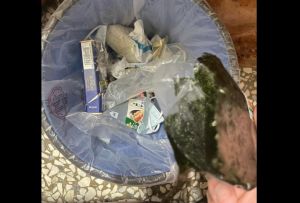 御飯糰被拿去微波！他忽略「1細節」釀悲劇：還剛好月底
