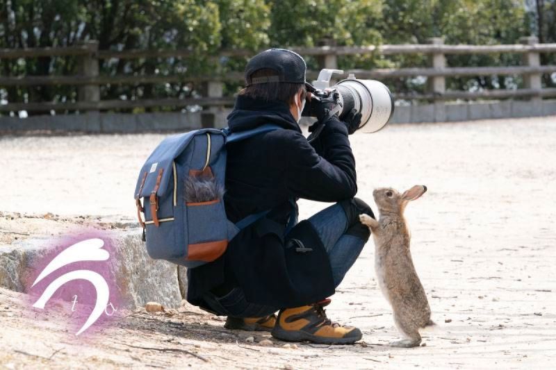 攝影師對焦遠處！兔兔不堪寂寞「爬腿撒嬌」：換拍我嘛
