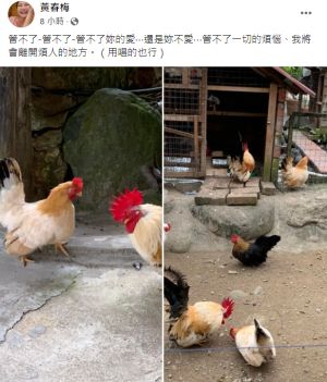 ▲徐媽發文抒發心情。(圖/黃春梅臉書) ▲徐媽發文抒發心情。(圖/黃春梅臉書)