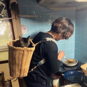 奴才忙烹飪中!網見「特等席毛毛背後靈」笑:太沉重了 ▲這天推主準備炸丸子,但是擔心朔太郎又纏住自己討抱抱,靈機一動將牠放進小竹簍揹在身上。(圖/推特帳號1Shuo)
