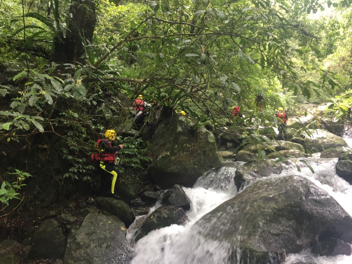 ▲稍早11點30分左右，搜救隊傳來消息，已尋獲蔡進國蹤跡，但不幸已失去生命跡象，後續搜救隊將會把其大體運出山。（圖／翻攝畫面）