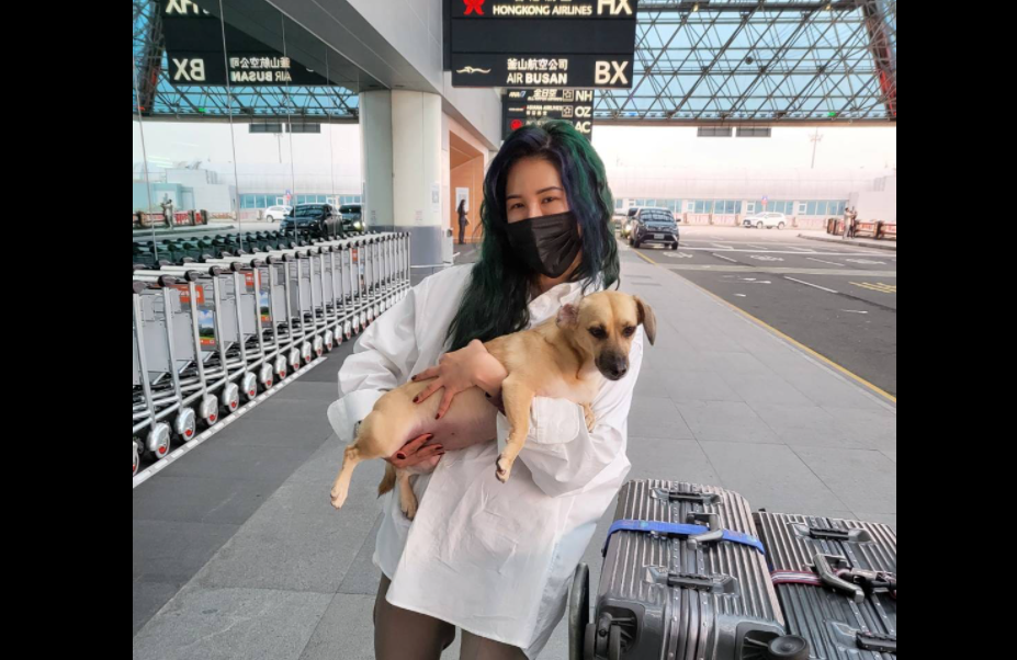 ▲不滿回程班機被取消還要自己補差價，丹妮婊姐怒嗆客服人員。（圖／翻攝丹妮婊姐臉書）