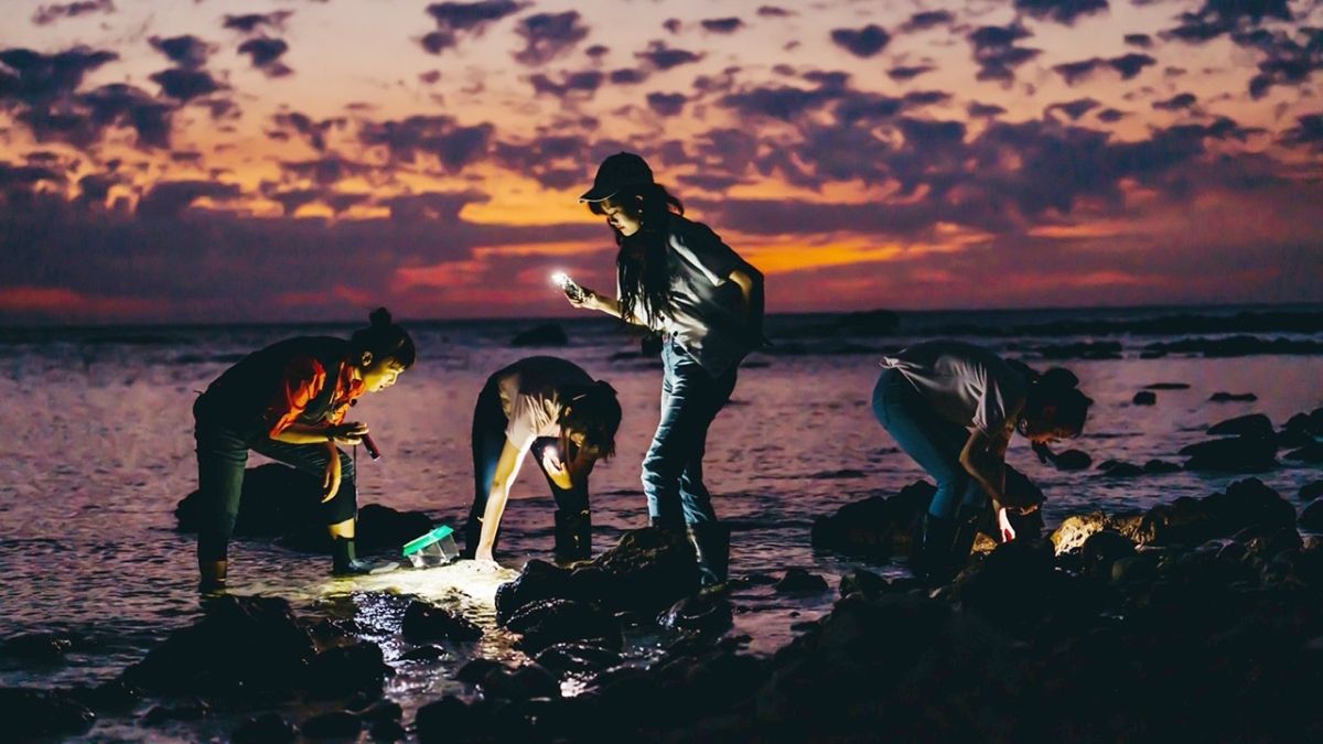 ▲民眾可以跟隨導覽員的腳步探索，一賭神出鬼沒的夜行生物。（圖／屏東海生館提供）