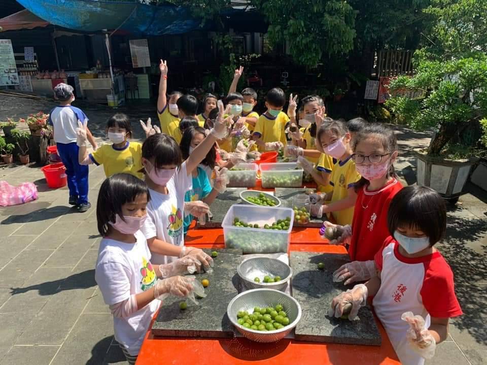 ▲來梅嶺可體驗採收梅子，更能自己動手DIY醃梅、製梅酒，過程充滿樂趣（圖／台南市觀旅局提供）